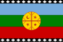 Vlag van die Mapuche geskep in 1992