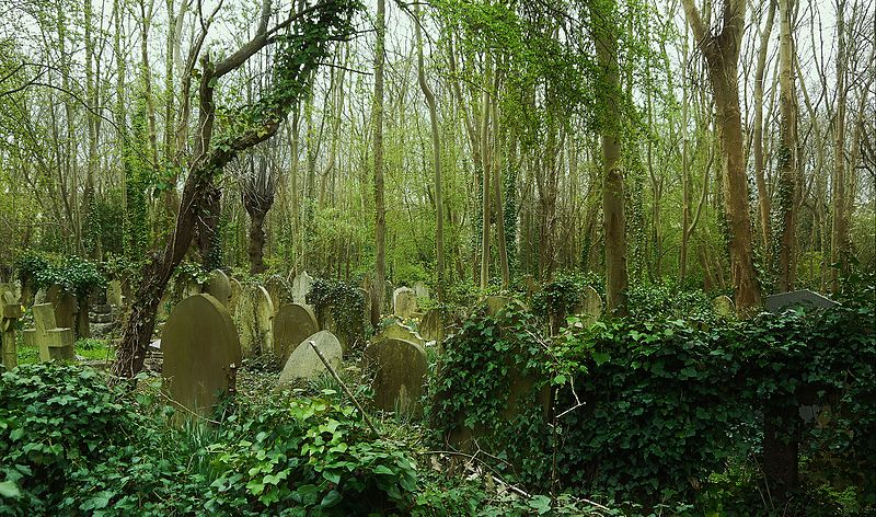 File:Flickr - Duncan~ - Highgate Cemetery (1).jpg