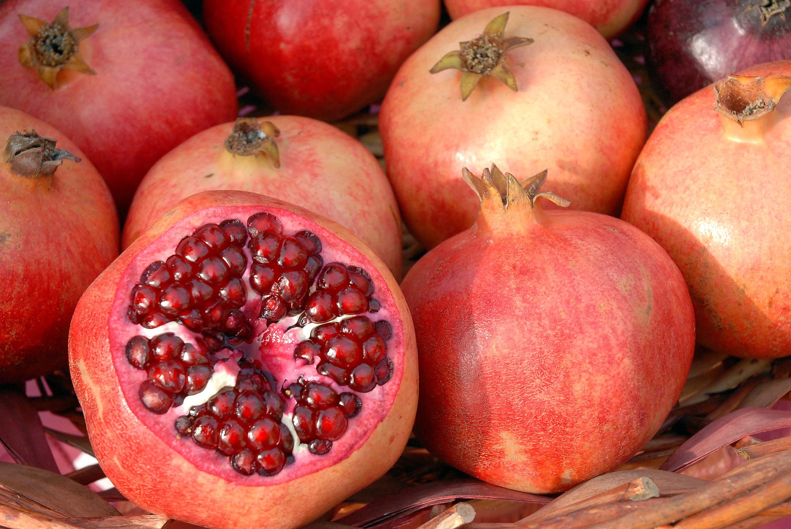 How rare is it to find a fruit in GPO?