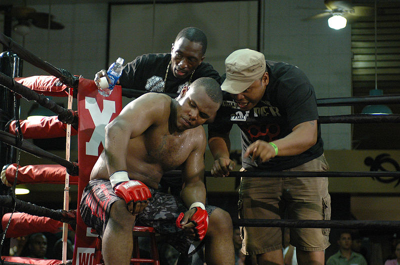 File:Flickr - The U.S. Army - MMA- Mixed Martial Arts in Hawaii.jpg