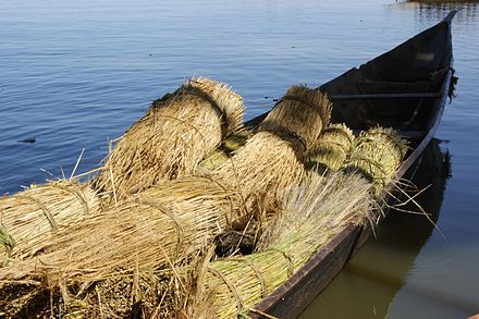 Pirogue on the Niger River