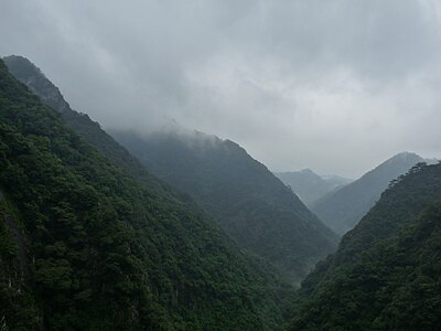旗山国家森林公园