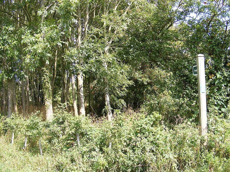 File:Footpath to Framsden - geograph.org.uk - 2557649.jpg