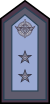 Fuerza Aerea Argentyna - Brigadier.svg
