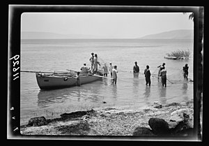 Galilee trip. Tiberias fisheries (Arab). Fishing with drag net. Loading drag net on boat LOC matpc.20778.jpg