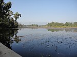 Ghodaghodi Lake1.JPG