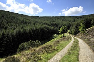 <span class="mw-page-title-main">Glentress Forest</span> Forest in Scottish Borders, Scotland, UK