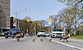 * Nomination Goose family crossing a busy road in Toronto --Maksimsokolov 03:23, 8 May 2022 (UTC) * Promotion  Support Good quality and nice! --Aristeas 06:33, 10 May 2022 (UTC)