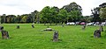 Gorsedd Stones at Builth Wells park, Wales.jpg