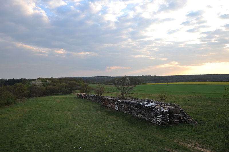 File:Gräberfeld Therasburger Wald 5844.jpg