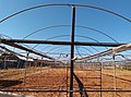 Greenhouse structure in South Ypsonas Village Limassol.jpg