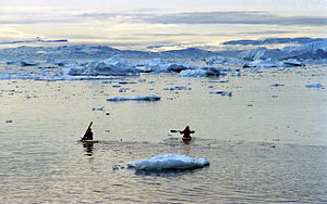 Inuit en kayaks tradicionales en Disko Bay