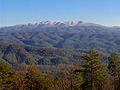 Le Gregory Bald (1 508 m), à la frontière entre le comté de Swain et le comté de Blount (Tennessee).