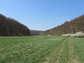 Das Helbetal westlich von Sondershausen