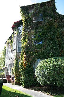 Helen Dodge Three-Decker United States historic place