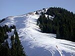 Hörnle (Ammergauer Alpen)