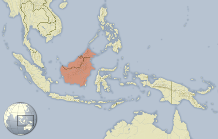 Hystrix crassispinis distribution map.png