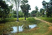 Umland von Banteay Srei