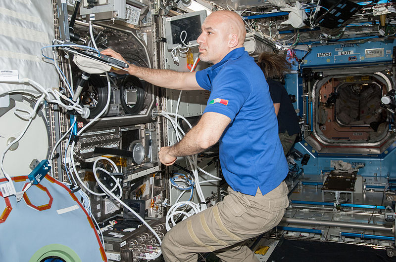 File:ISS 36 Luca Parmitano enters data.jpg