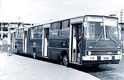 A vonalon az 1980-as években Ikarus 282-es busz is járt