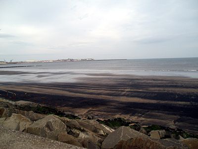 Hartlepool Submerged Forest