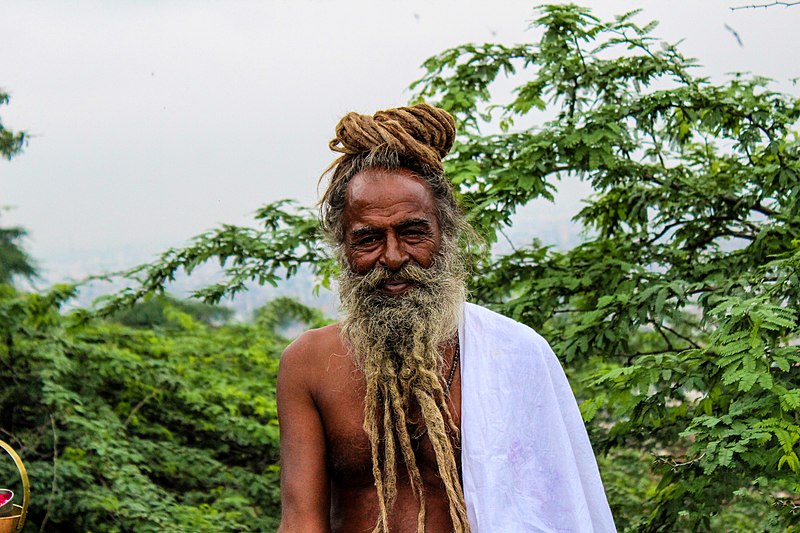 File:Indian Brahmin.jpg