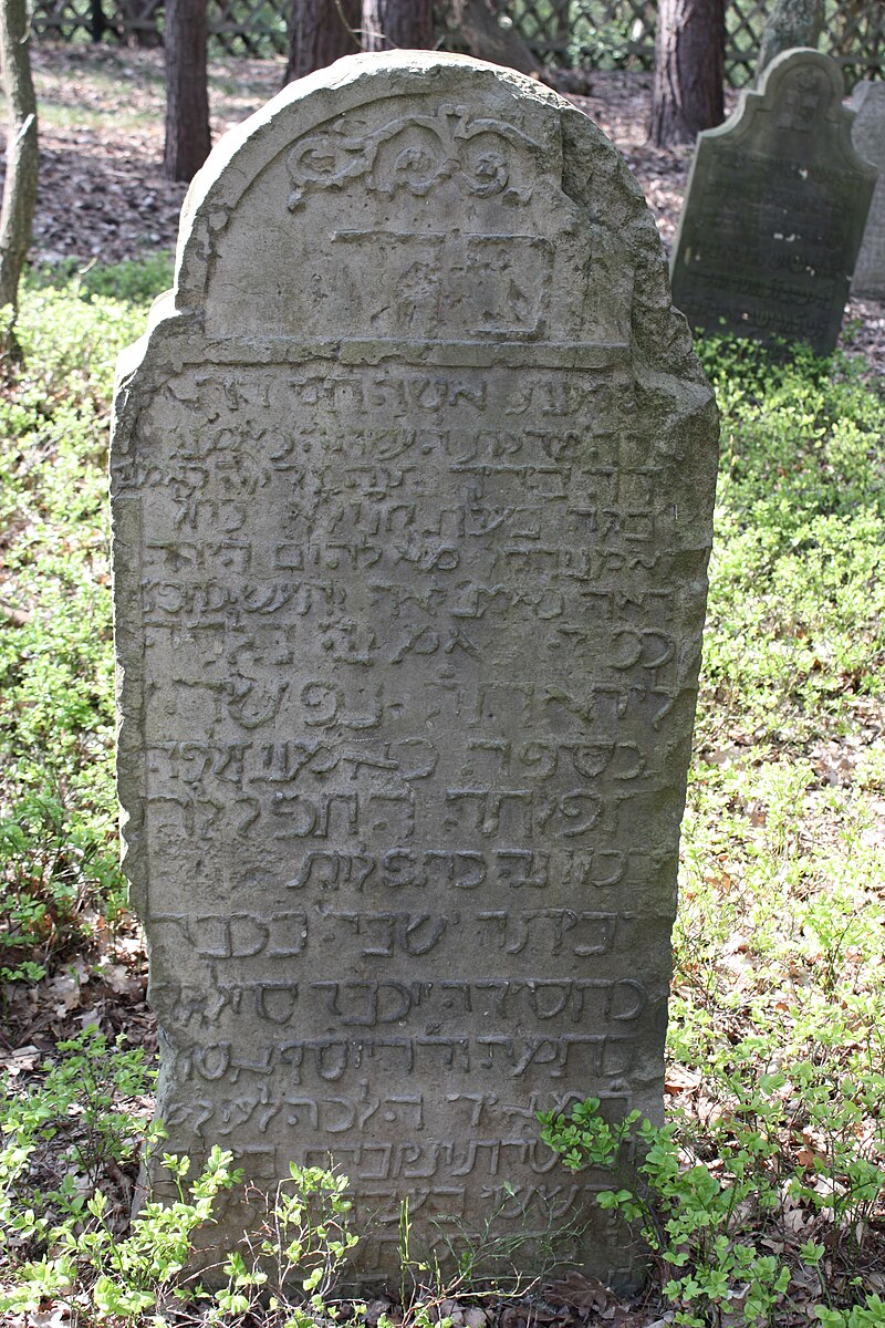 Jüdischer Friedhof Hoyerhagen 20090413 024.JPG