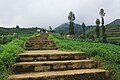 Jalan Menuju Candi Dwarawati Banjarnegara