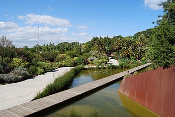 Bachèt dedens lo cortil botanico de Barcelona. (veré dèfenicion 3 000 × 2 008*)