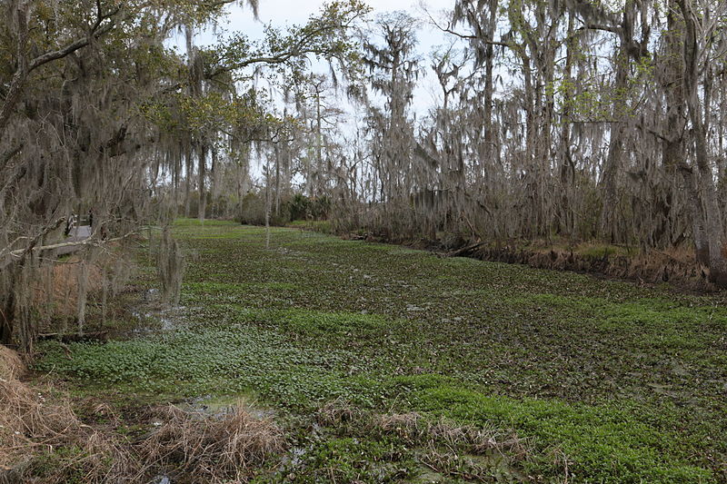 File:Jean Lafitte National Historical Park and Preserve (123).JPG