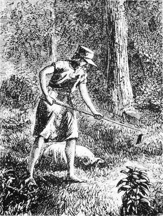 Johnny Appleseed