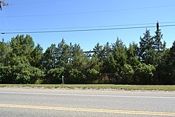 Joliet Bridge, Joliet, MT.jpg