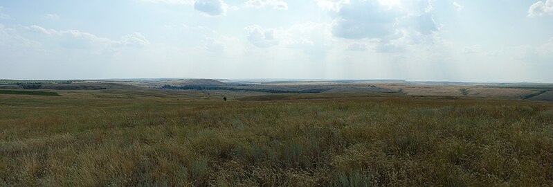 File:Kamyshinsky District, Volgograd Oblast, Russia - panoramio (244).jpg