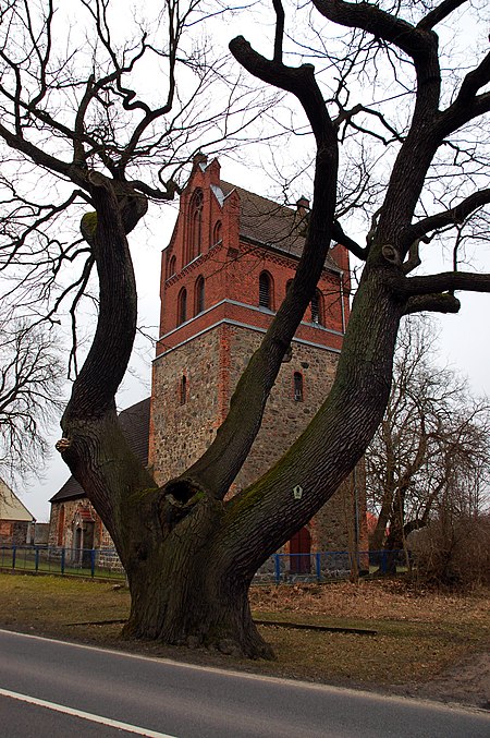 Kirche und eiche gruental rr