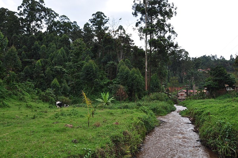 File:Kisiizi falls 21.jpg