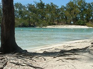 Beach on Île aux Cerfs