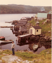 Some Newfoundland outport fishing stages remained in 1971, after fresh fish markets had reduced the need for the drying platforms. LaPoileNewfoundlandFishingStages.png