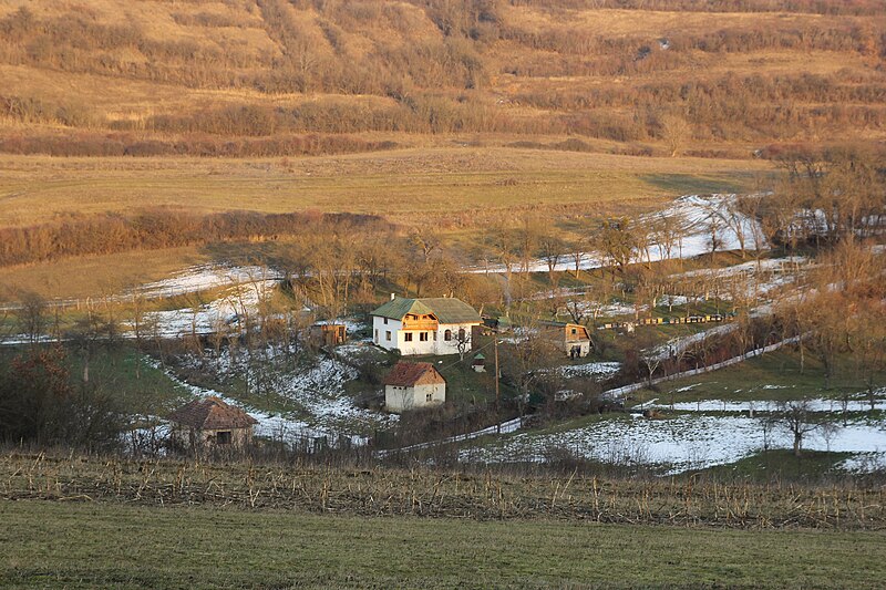 File:La Mos Indrei din capul satului.JPG