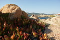 La Tonnara Beach, Corsica