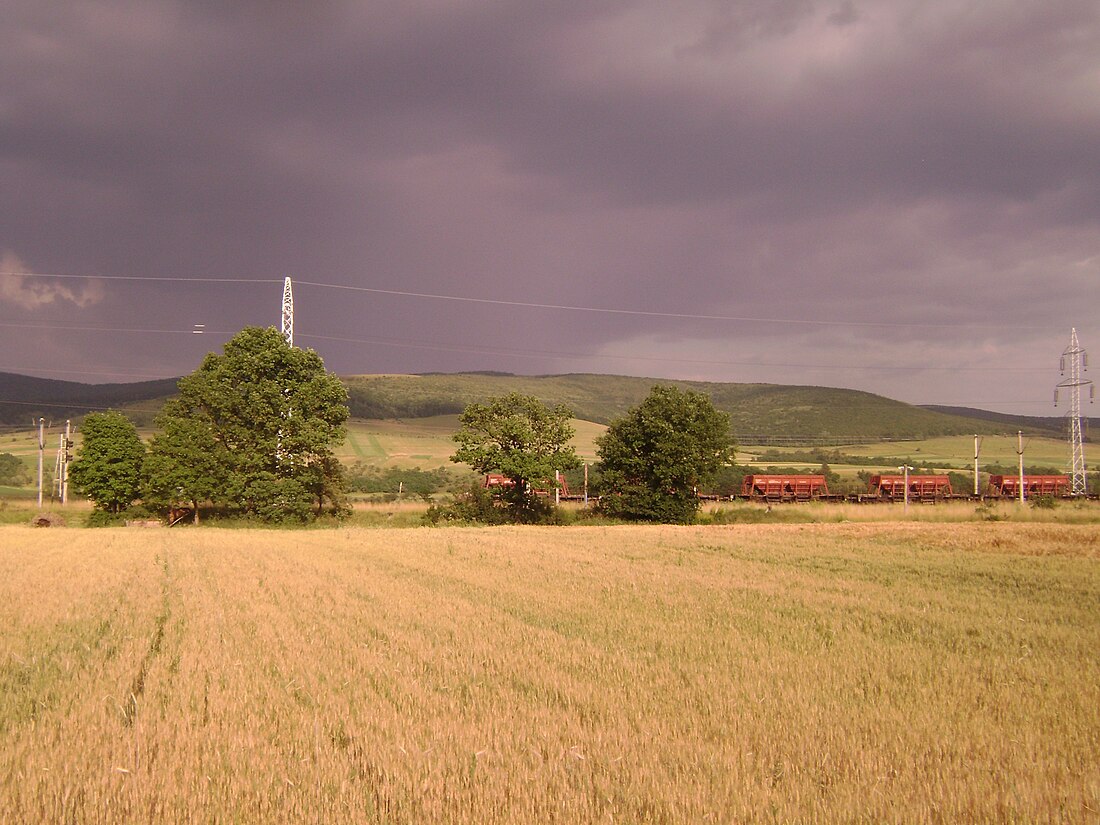 Covasna (piirikunta)