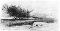 Landscape with ducks.