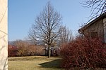 Kirchhof, former cemetery