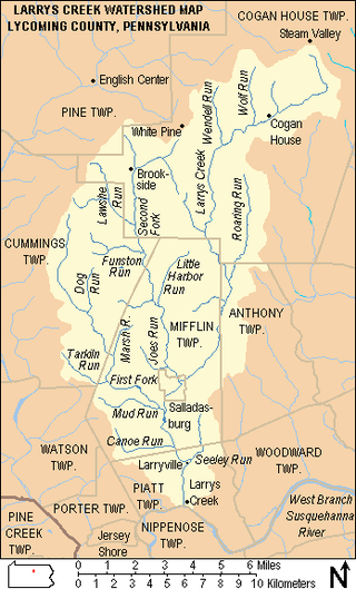 A map with caption "Larrys Creek Watershed Map Lycoming County, Pennsylvania". The top left corner is labeled "Pine Township" and shows the village "English Center". The top right corner is labeled "Cogan House Township", has four villages ("Steam Valley", "Cogan House", "Brookside", and "White Pine") and labeled streams "Larrys Creek", "Wolf Run", "Wendell Run", "Roaring Run", and Second Fork". At left center is "Cummins Township" with streams "Lawshe Run", "Funston Run", "Dog Run", and "Tarkiln Run". In the center is "Mifflin Township" which surrounds the borough of "Salladasburg"; named streams are "Little Harbor Run", "Joes Run", "Marsh Run", "First Fork", "Mud Run", and "Canoe Run". "Anthony Township" is at center right, and in the lower left corner are "Watson", "Porter", and "Pine Creek" townships and the borough of "Jersey Shore". In middle center is "Piatt Township" with the villages of "Larryville" and "Larrys Creek" and the stream "Seeley Run", below this is "Nippenose Township". In the lower right corner is "Woodward Township" and the label for the "West Branch Susquehanna River".