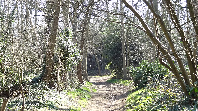 https://en.wikipedia.org/wiki/File:Lesnes_Abbey_Woods.JPG