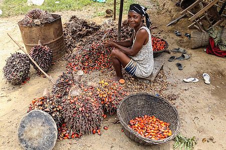 "Liberia_oil_palm.jpg" by User:Antoshananarivo