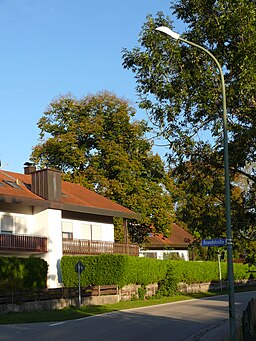 Brandstr. in Grafing bei München