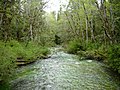 The Lyre River as it flows out of Lake Crescent.