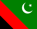 Majlis Wahdat-e-Muslimeen Pakistan - Flag.PNG