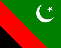 Majlis Wahdat-e-Muslimeen Pákistán - Flag.PNG