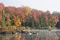 "Marshfield_Pond_October_2021_006.jpg" by User:King of Hearts